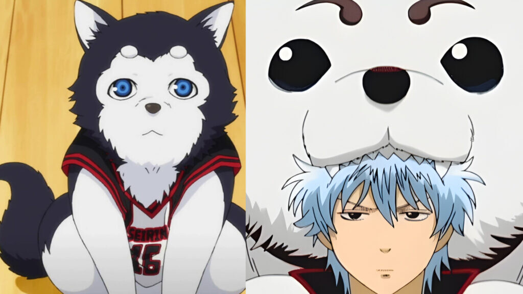 Los 9 Mejores Perros del Anime: Las Mascotas Más Icónicas de la Animación Japonesa